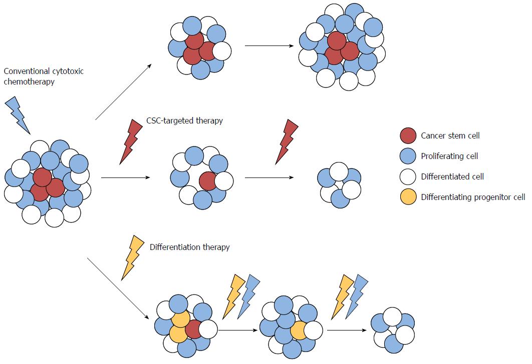 Chemopreventive drugs Mechanisms via inhibition of cancer