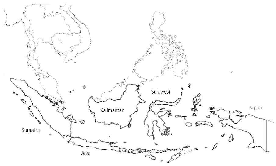 Hepatitis B virus infection in Indonesia