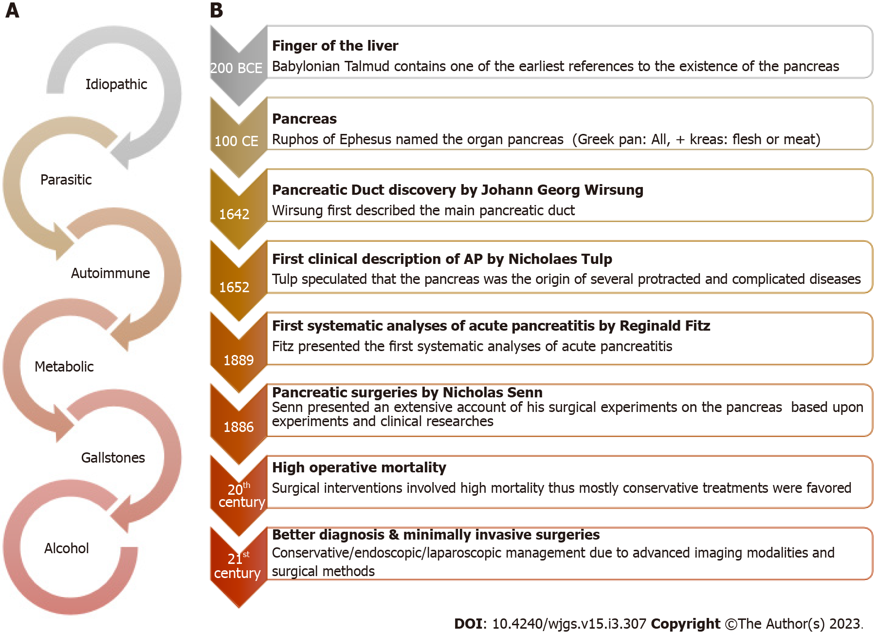 Stages Of Acute Pancreatitis Sales Discounts | www.micoope.com.gt