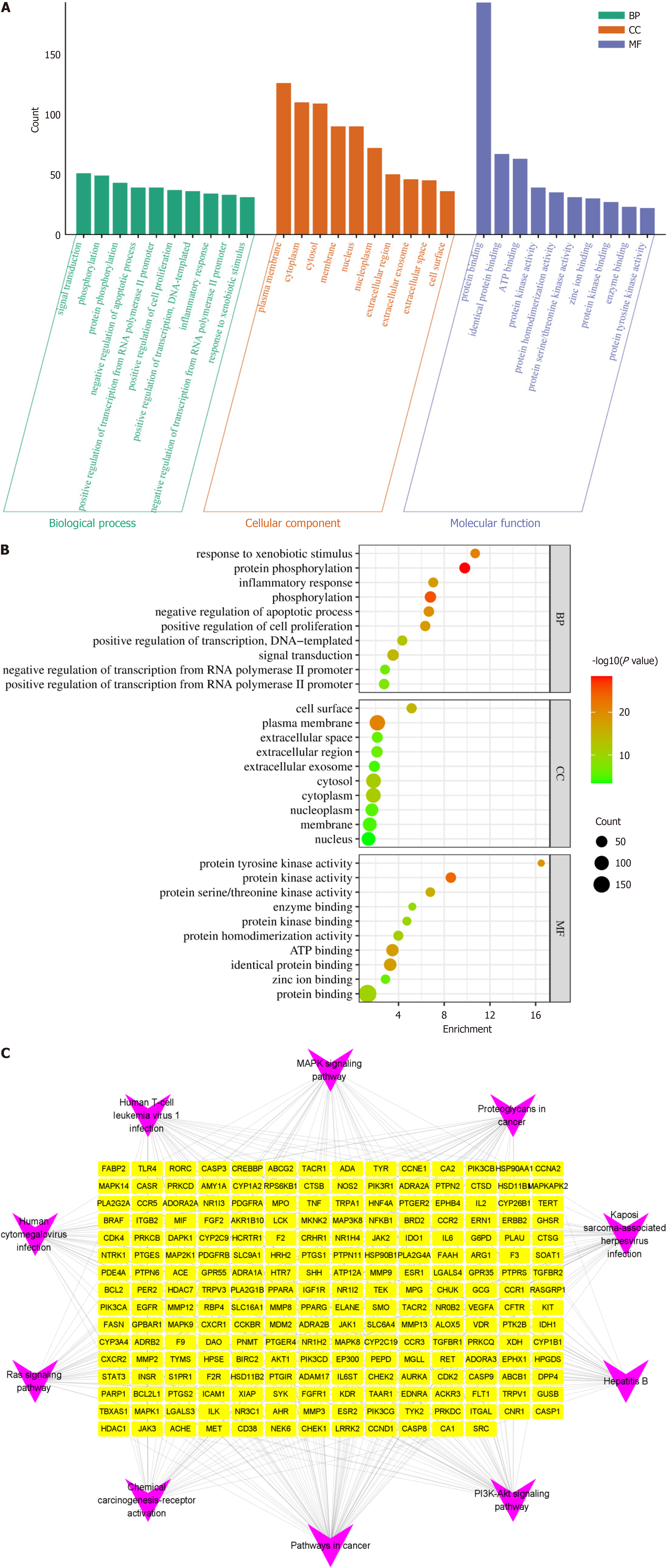 Network pharmacology and in vivo study: Unraveling the therapeutic ...