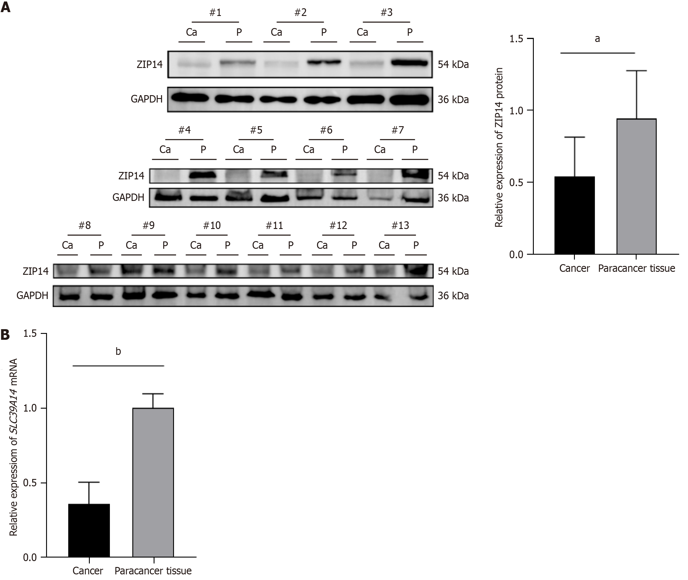 Figure 2 Figure 2