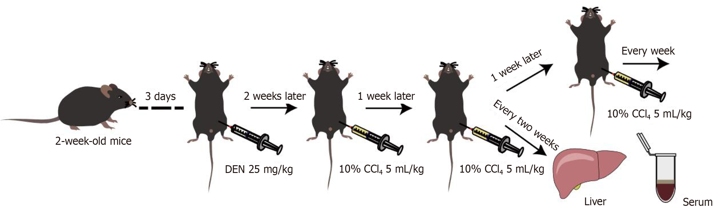 Figure 4 Figure 4