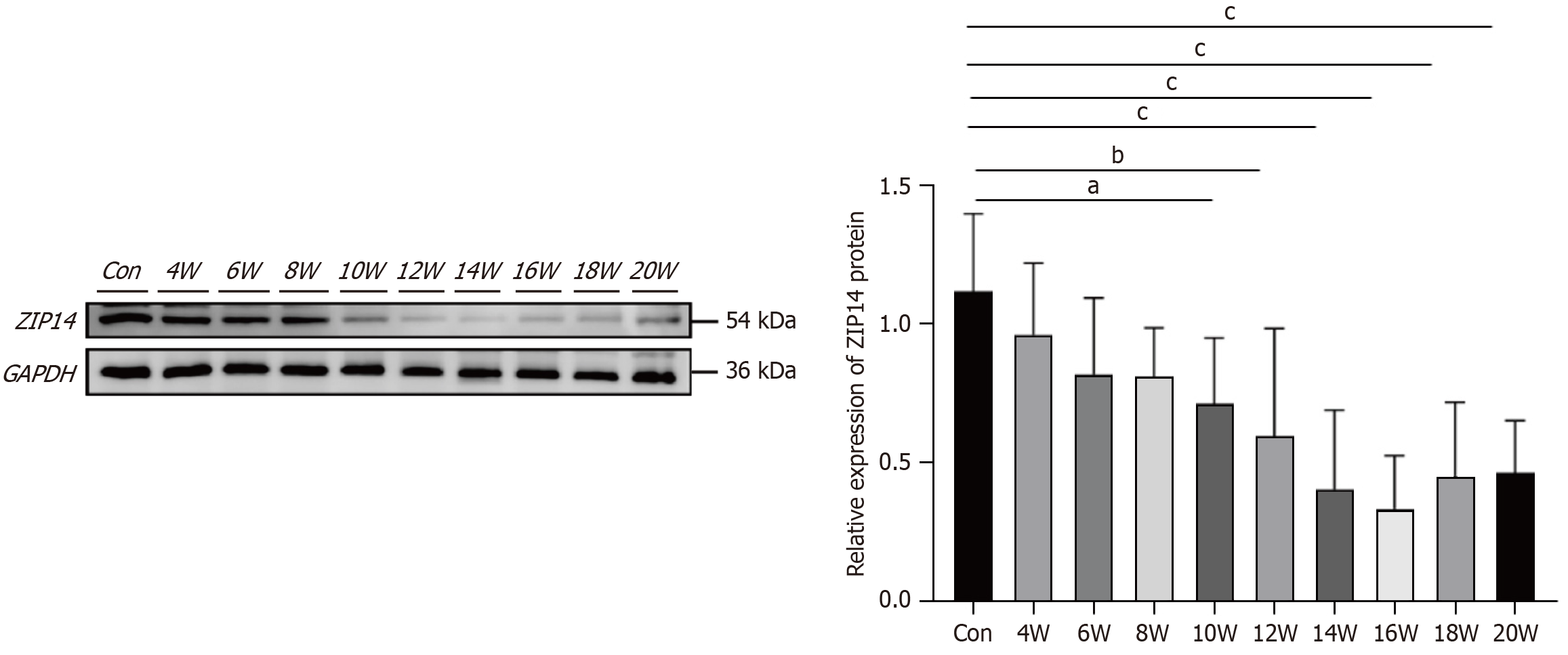 Figure 6 Figure 6