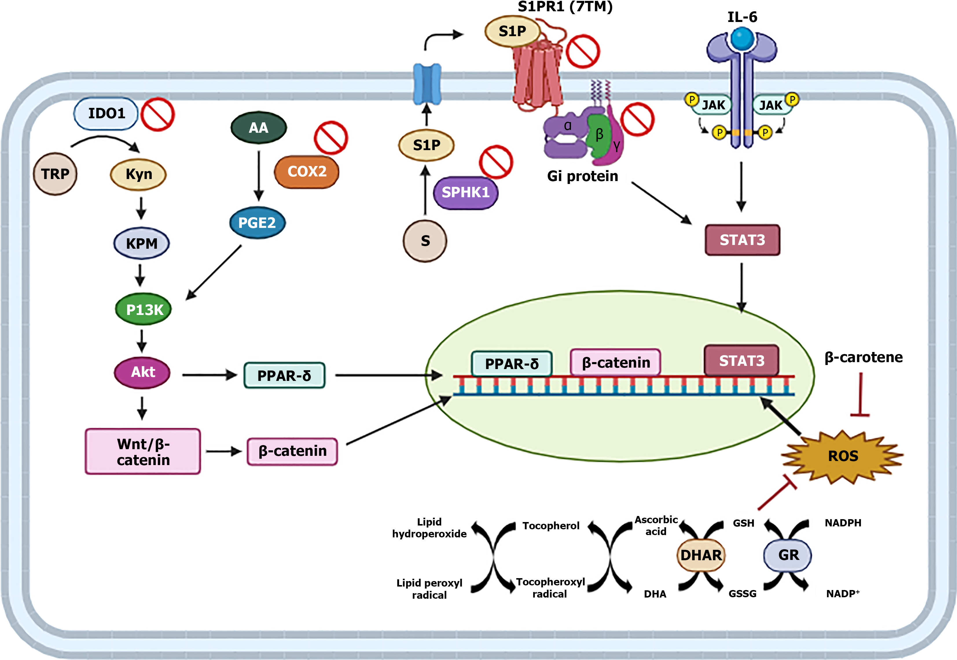 Figure 11