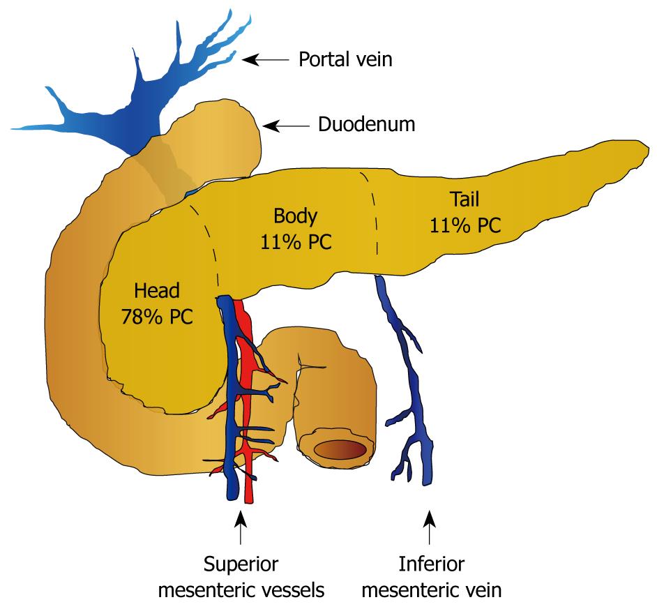 Advances in diagnosis, treatment and palliation of pancreatic carcinoma