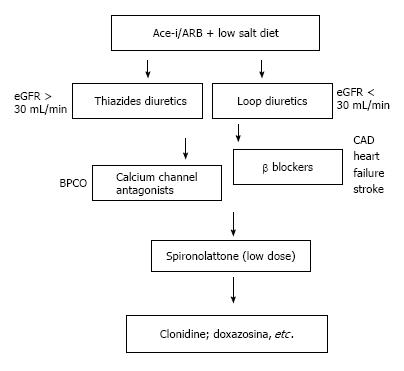 Hypertension deals in ckd