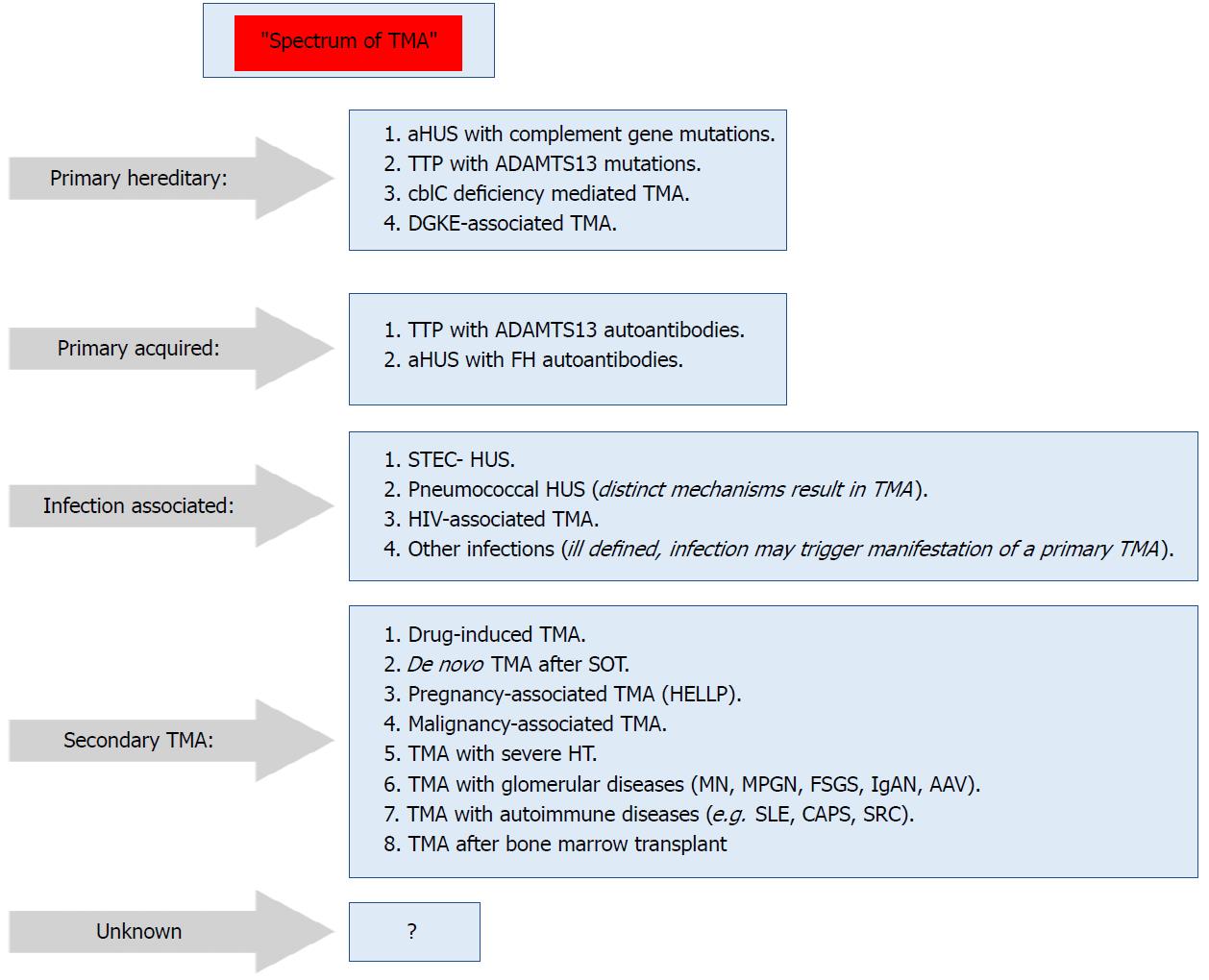 Thrombotic Microangiopathy After Renal Transplantation Current Insights In De Novo And