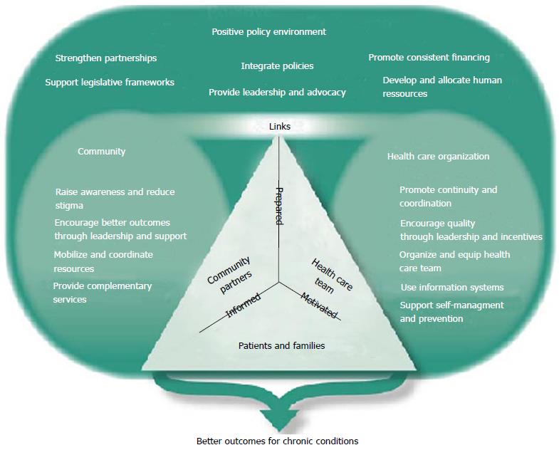 Chronic Care Model Example Img The Chronic Care Model Wagner And 