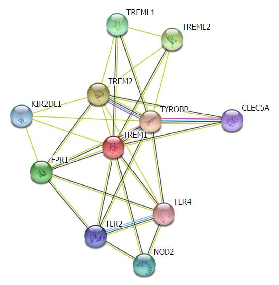 dsrna