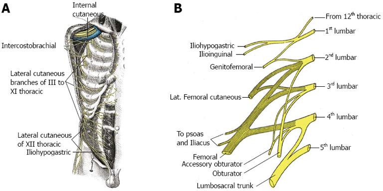 Access related complications during anterior exposure of the lumbar spine