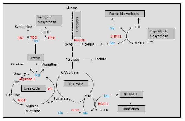 Amino Acid Therapy Chart