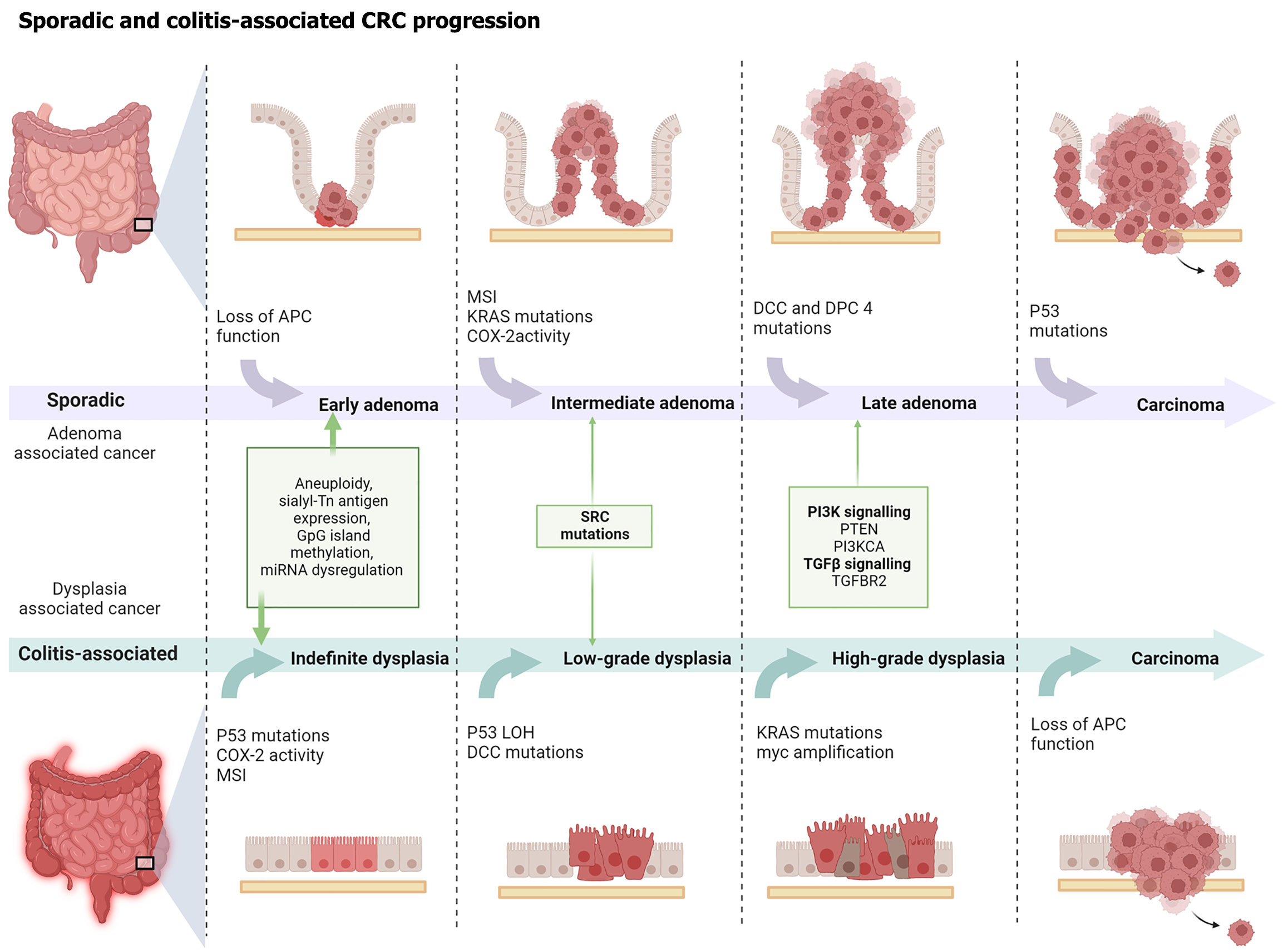 Figure 1 Figure 1