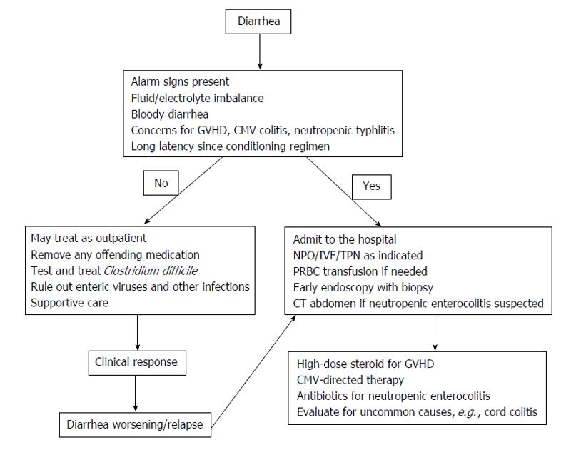 Clinical Approach To Diarrheal Disorders In Allogeneic