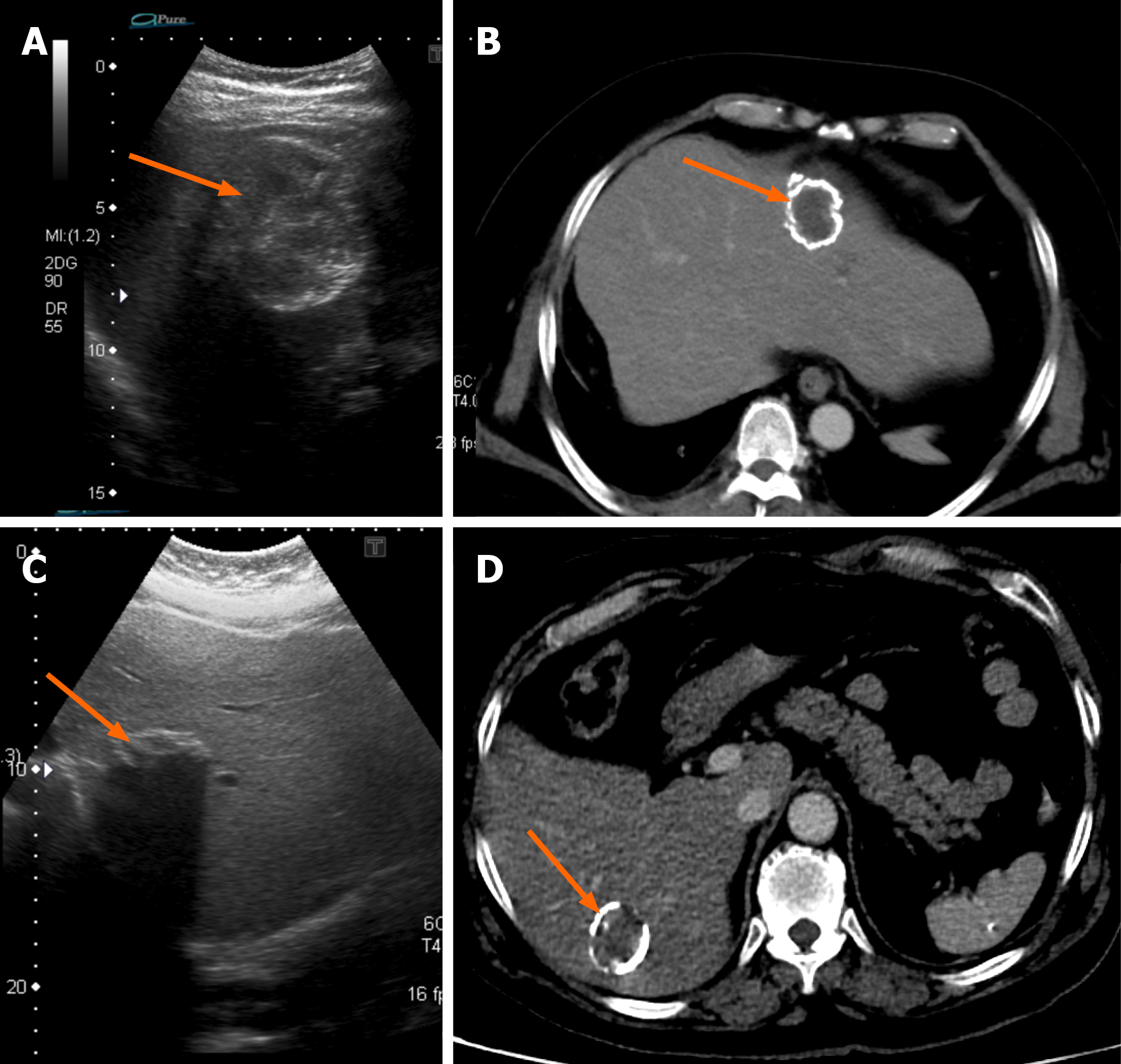 Figure 6