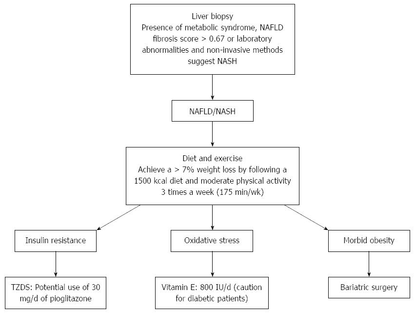 Clinical approaches to non-alcoholic fatty liver disease