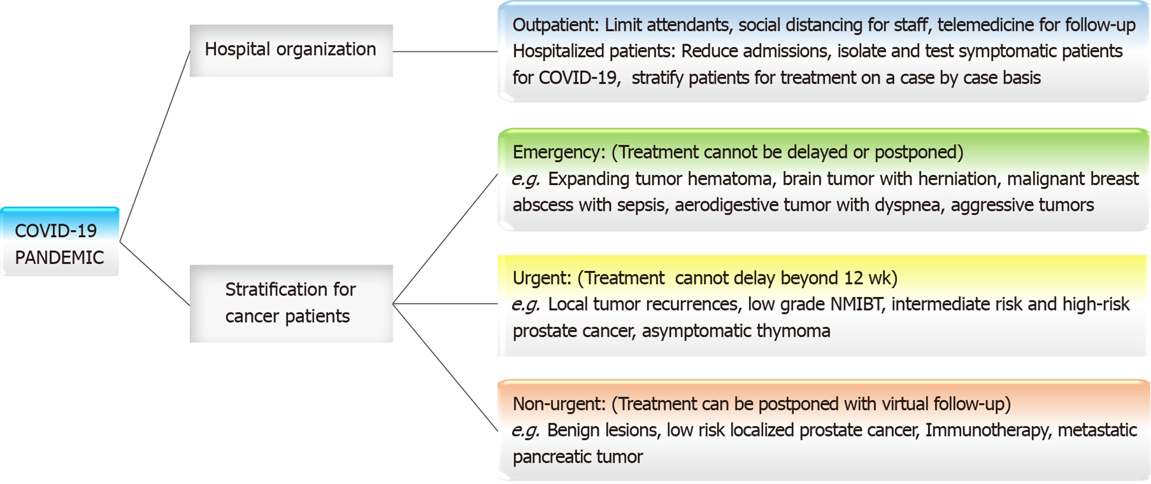 Management of cancer patients during the COVID-19 pandemic: A comprehensive  review