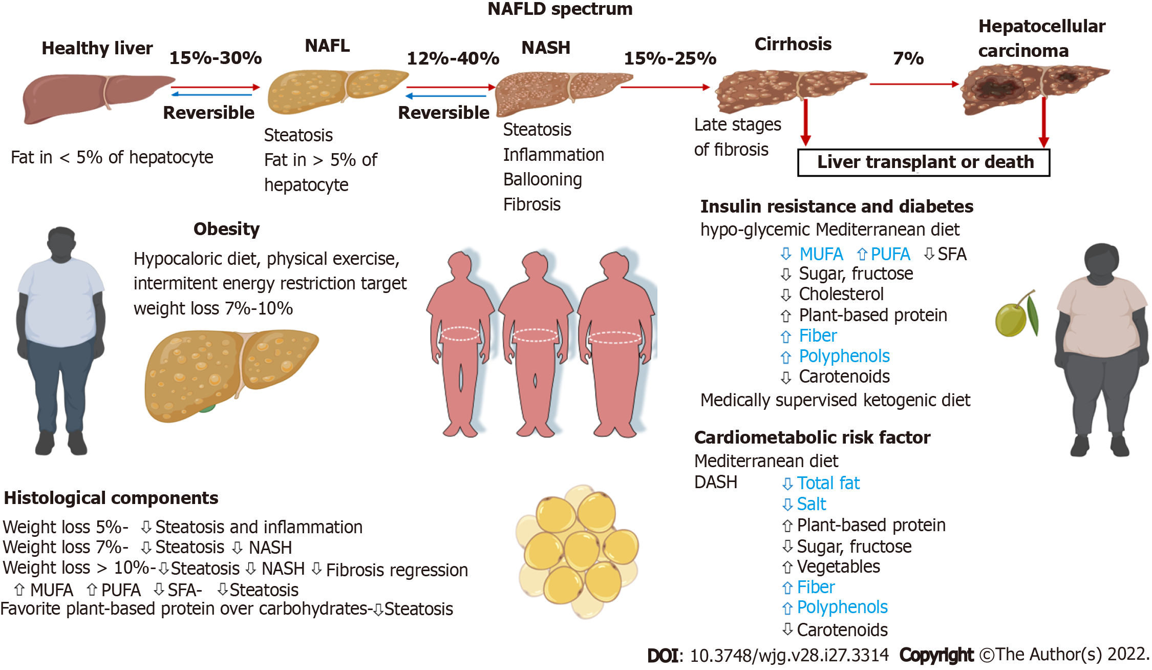 Crosstalk between dietary patterns, obesity and nonalcoholic fatty ...