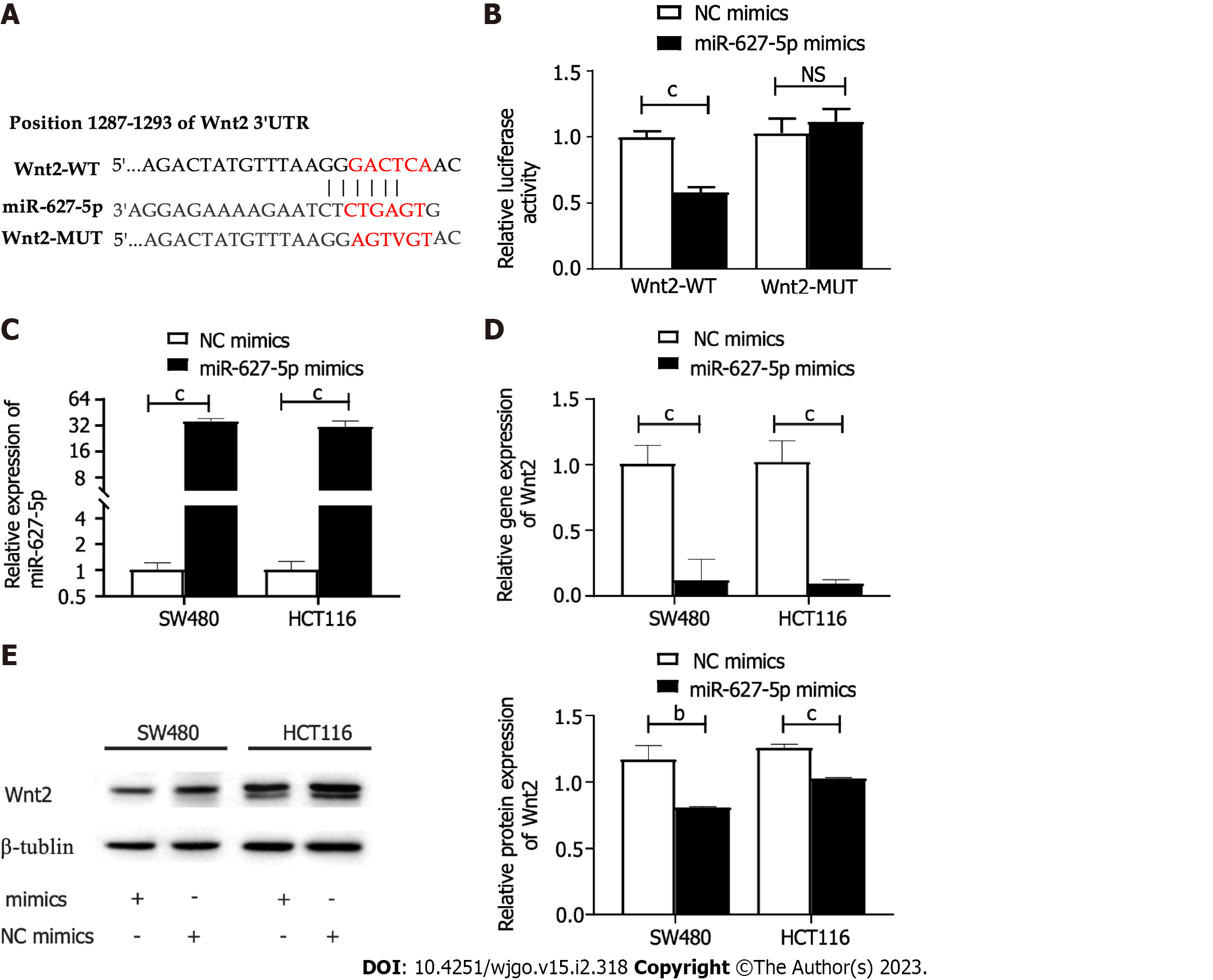 microRNA-627-5p inhibits colorectal cancer cell proliferation ...