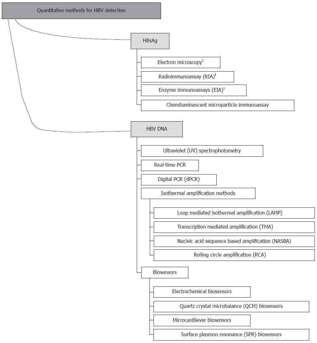 rapid-and-quantitative-detection-of-hepatitis-b-virus