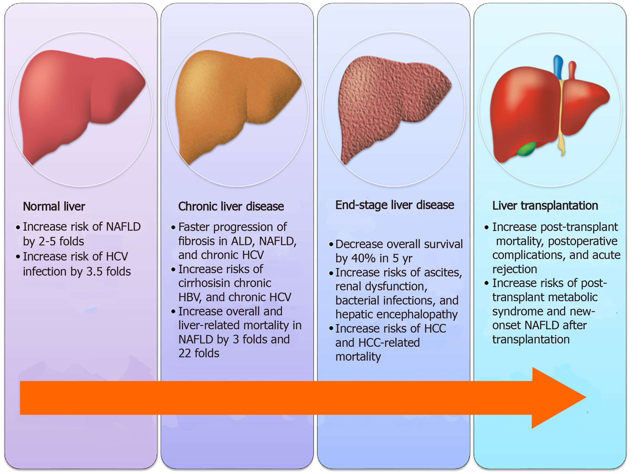 Fatty Liver Disease Stages