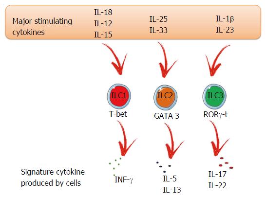 Biotinylated Human IL-21 Protein (IL2-HE421B) – KACTUS