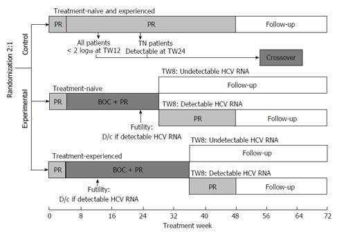 Peginterferon alfa-2b PegIntron - Treatment - Hepatitis C Online