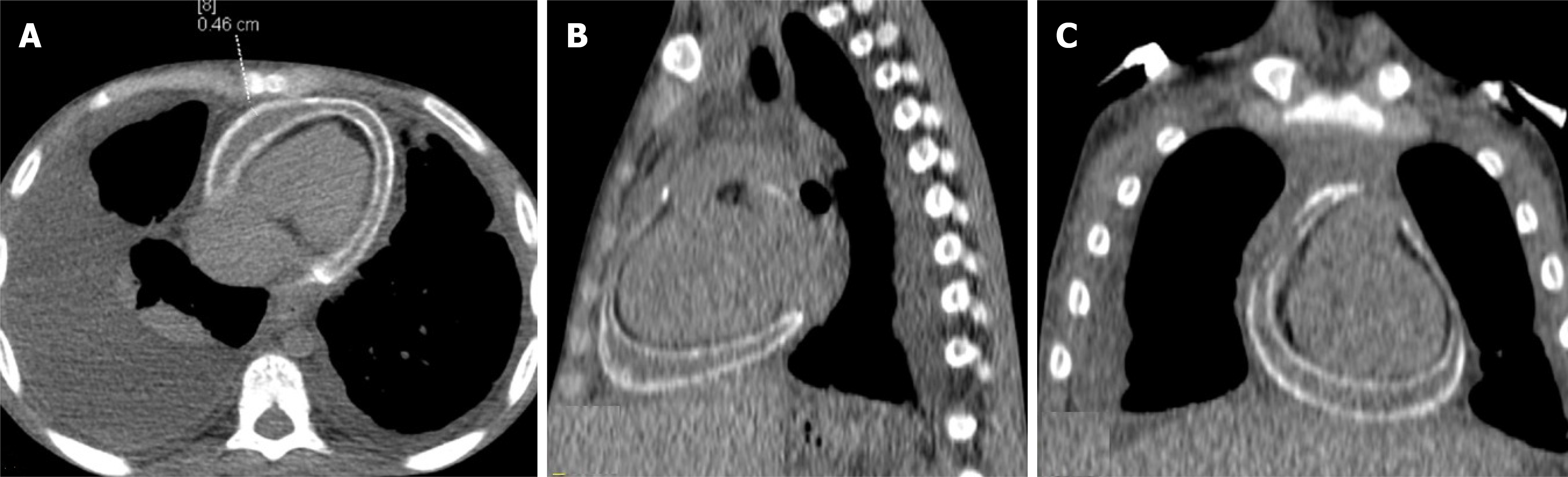 Figure 9