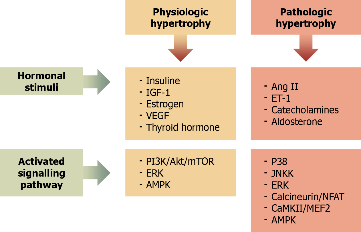 Figure 2 Figure 2
