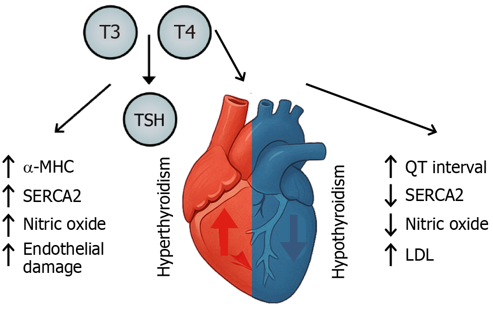 Figure 3 Figure 3