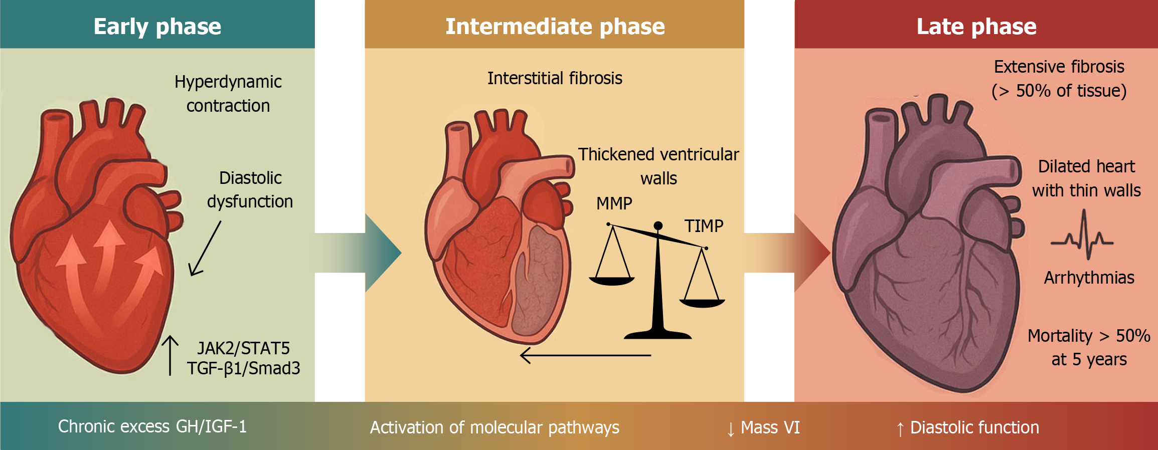 Figure 4 Figure 4