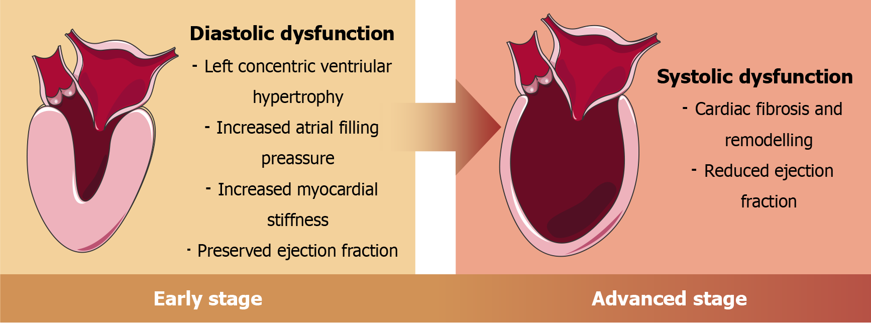 Figure 6 Figure 6