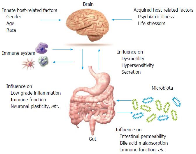 Innovation: Intelligent bacteria demonstrate high efficacy in the treatment  of widespread disease irritable bowel syndrome with typical symptoms of  recurrent diarrhoea, abdominal pain, bloating and constipation