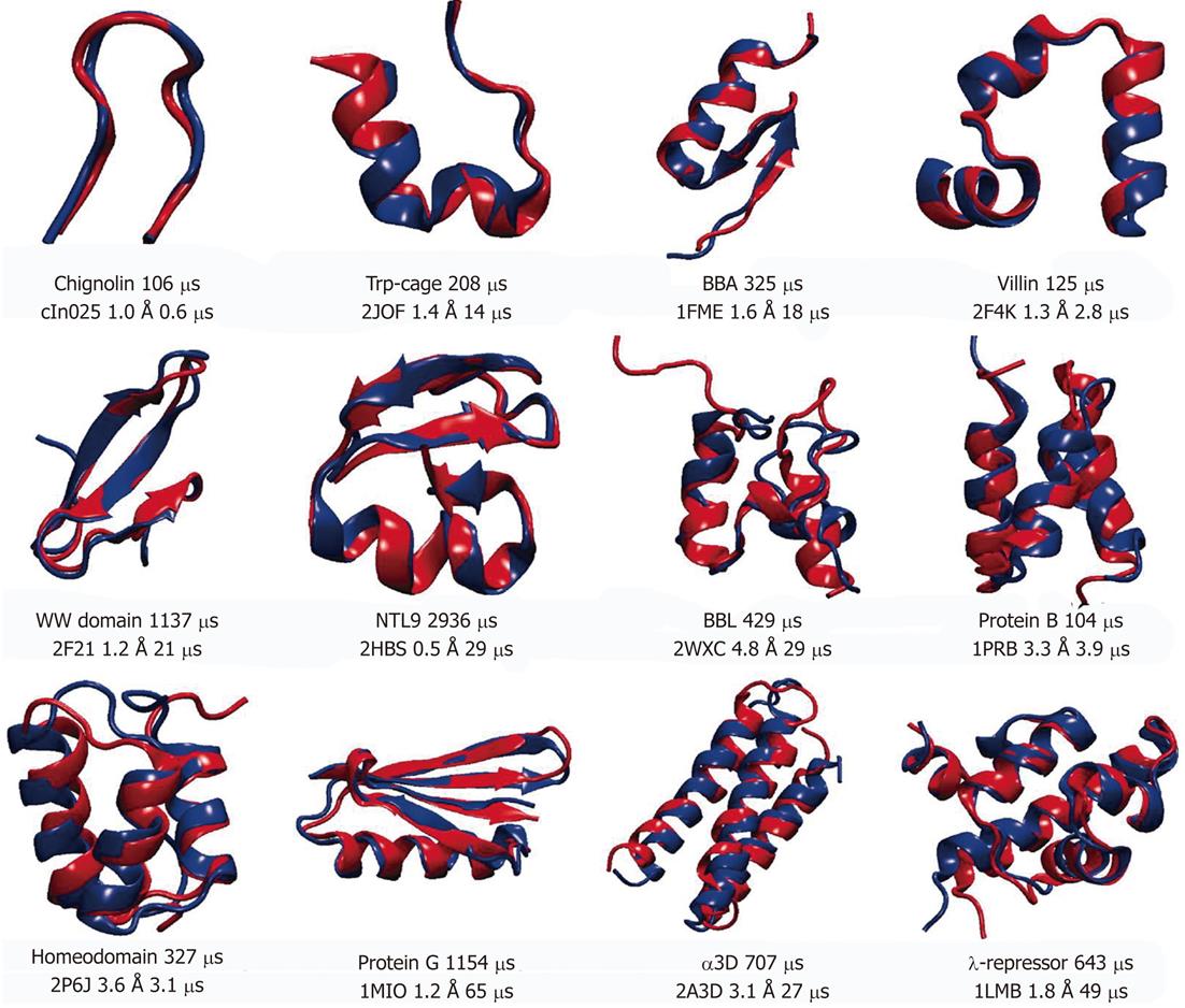 Protein dynamics via computational microscope