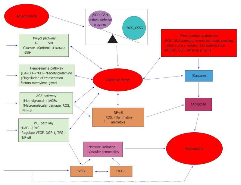 Phytochemicals in ocular health 