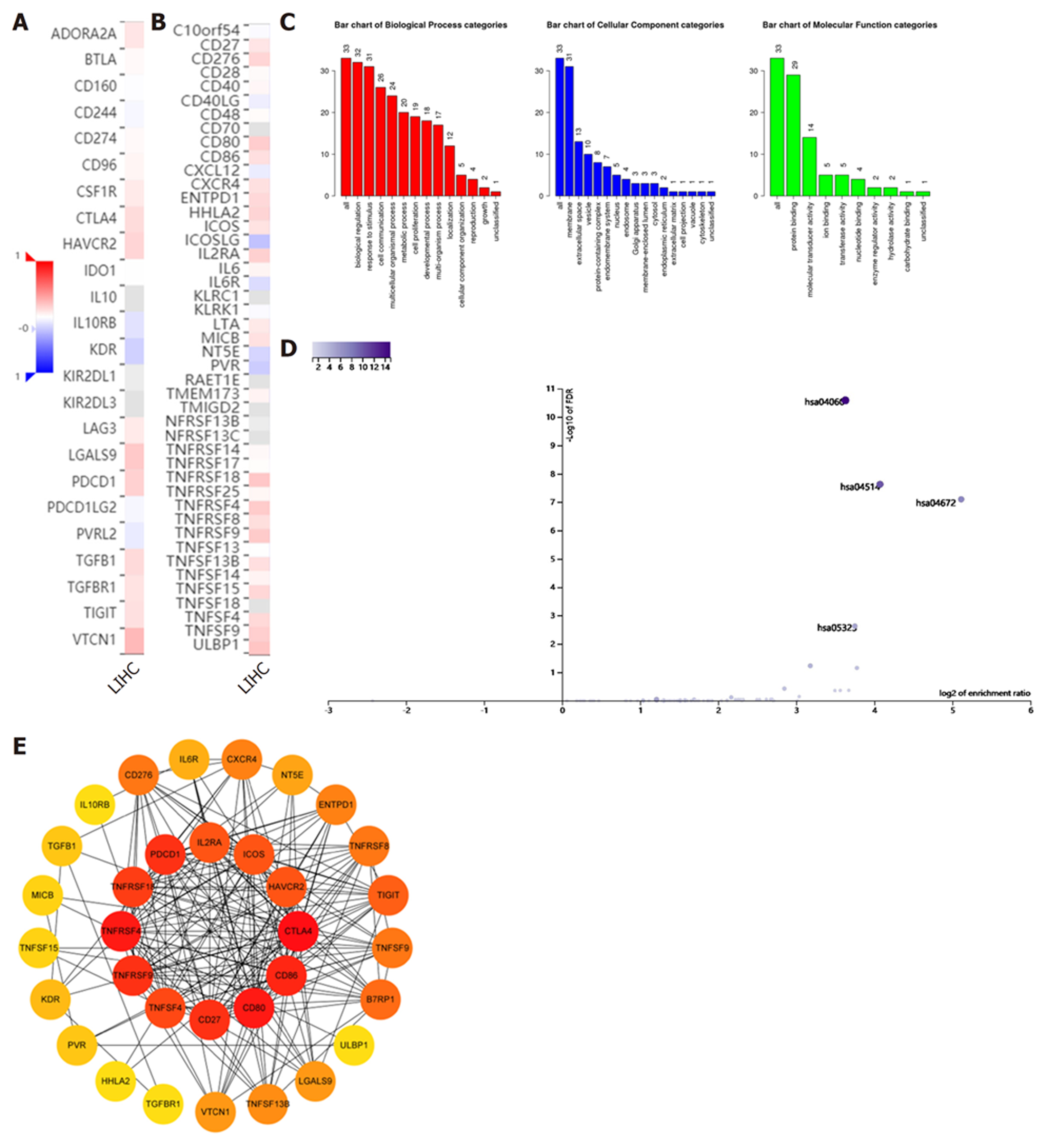 肝细胞癌中CBX2的免疫和预后意义的综合分析