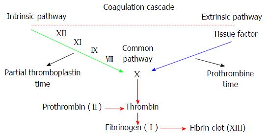Disseminated Intravascular Coagulation Clotting Cascade