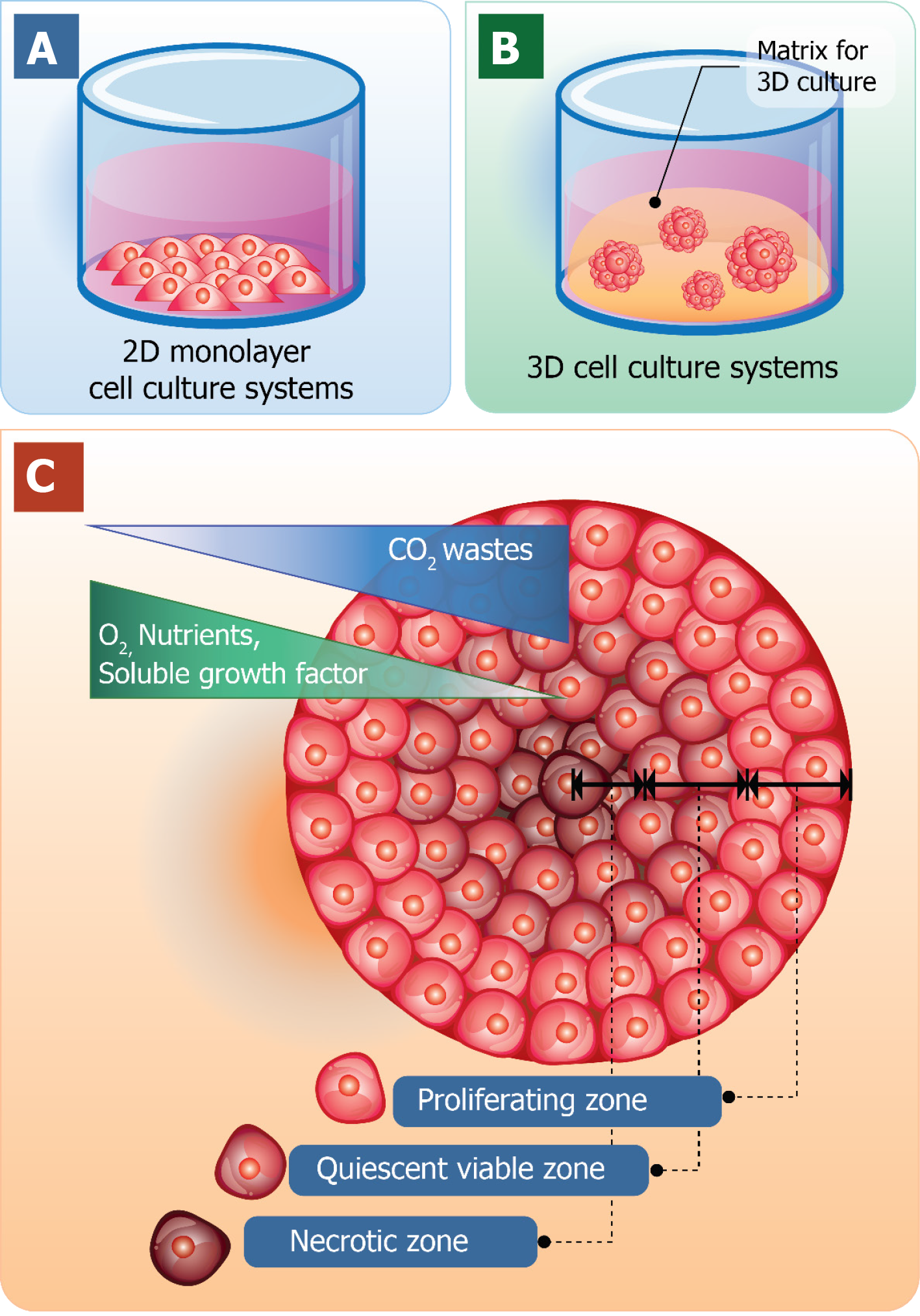 Three-dimensional cell culture systems as an in vitro platform for cancer  and stem cell modeling