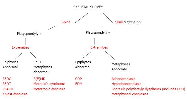 spondyloepiphyseal dysplasias