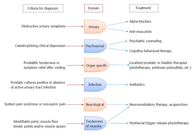 Updates On Therapies For Chronic Prostatitis Chronic Pelvic Pain