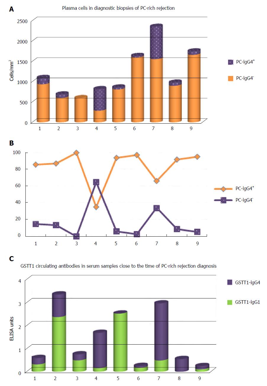 Rethinking de novo immune hepatitis, an old concept for liver allograft ...