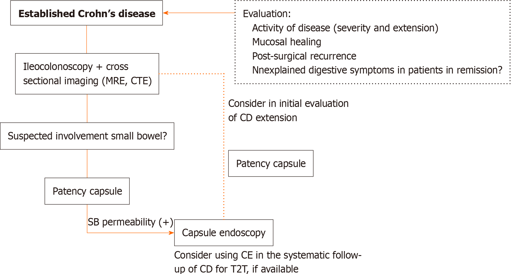 Capsule Endoscopy: Ulcerative Colitis Symptoms & Crohn's Disease Test