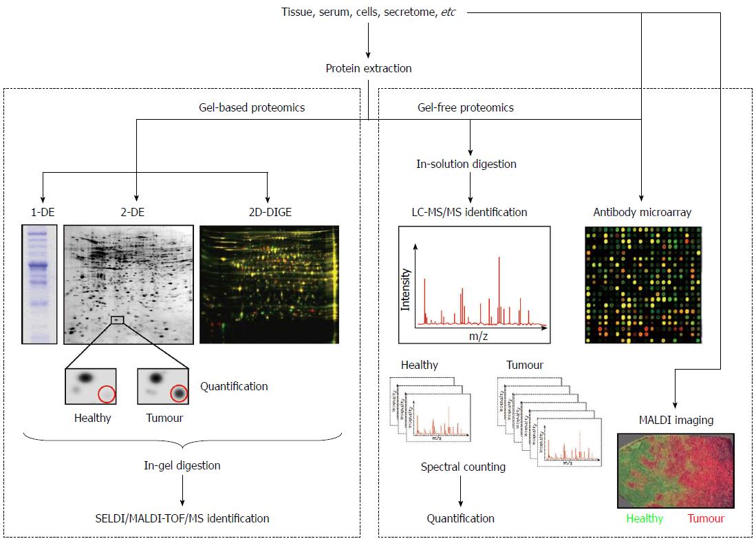 Proteomics For Discovery Of Candidate Colorectal Cancer Biomarkers