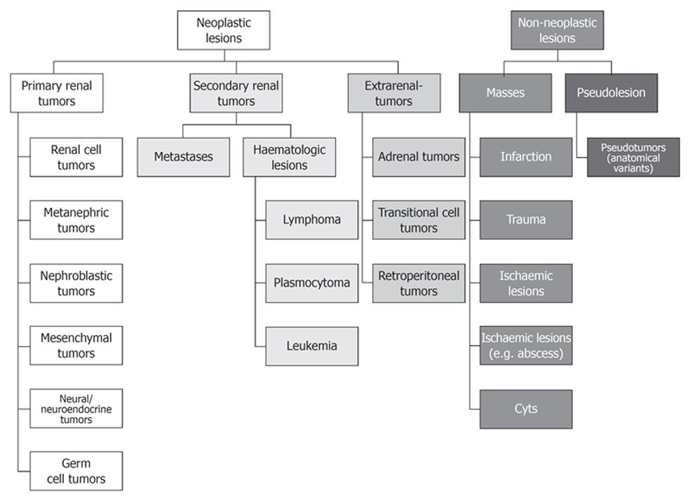 Bosniak Classification Chart