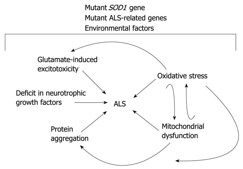 Als Progression Chart