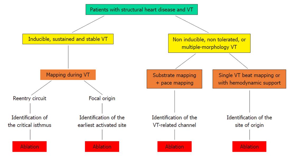 flow chart v tach of Role ventricular catheter of tachycardia ablation