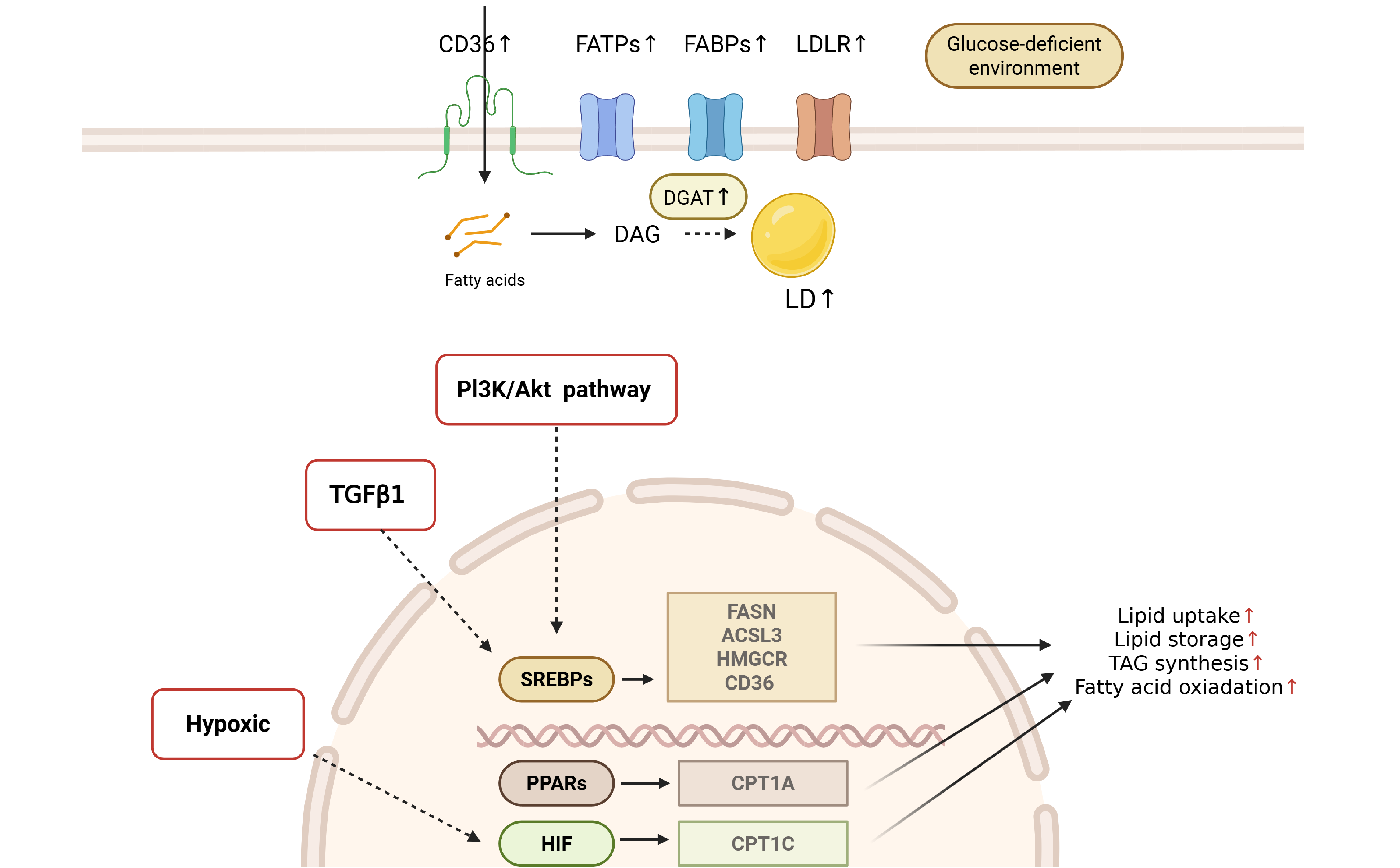 Figure 3 Figure 3