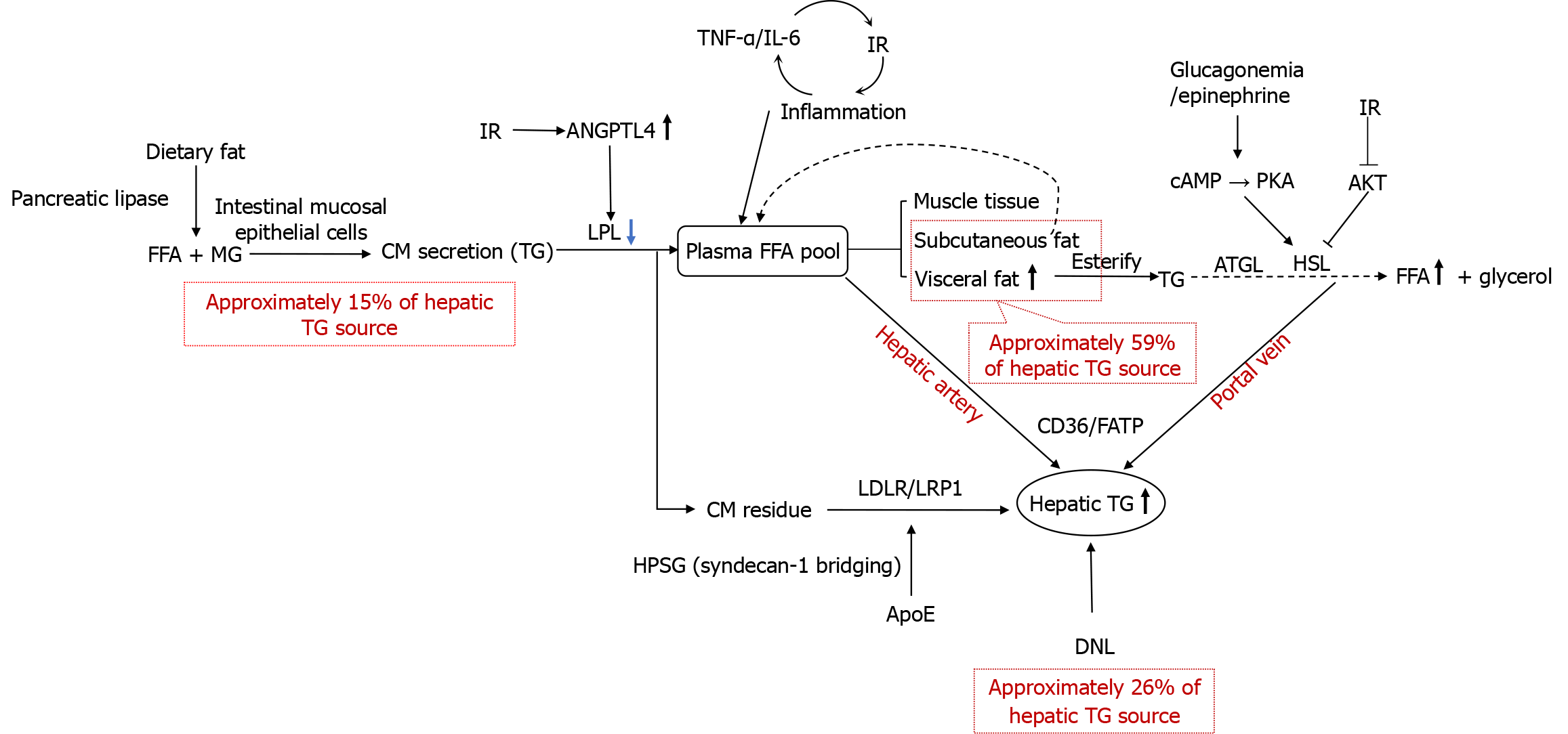 Figure 1 Figure 1
