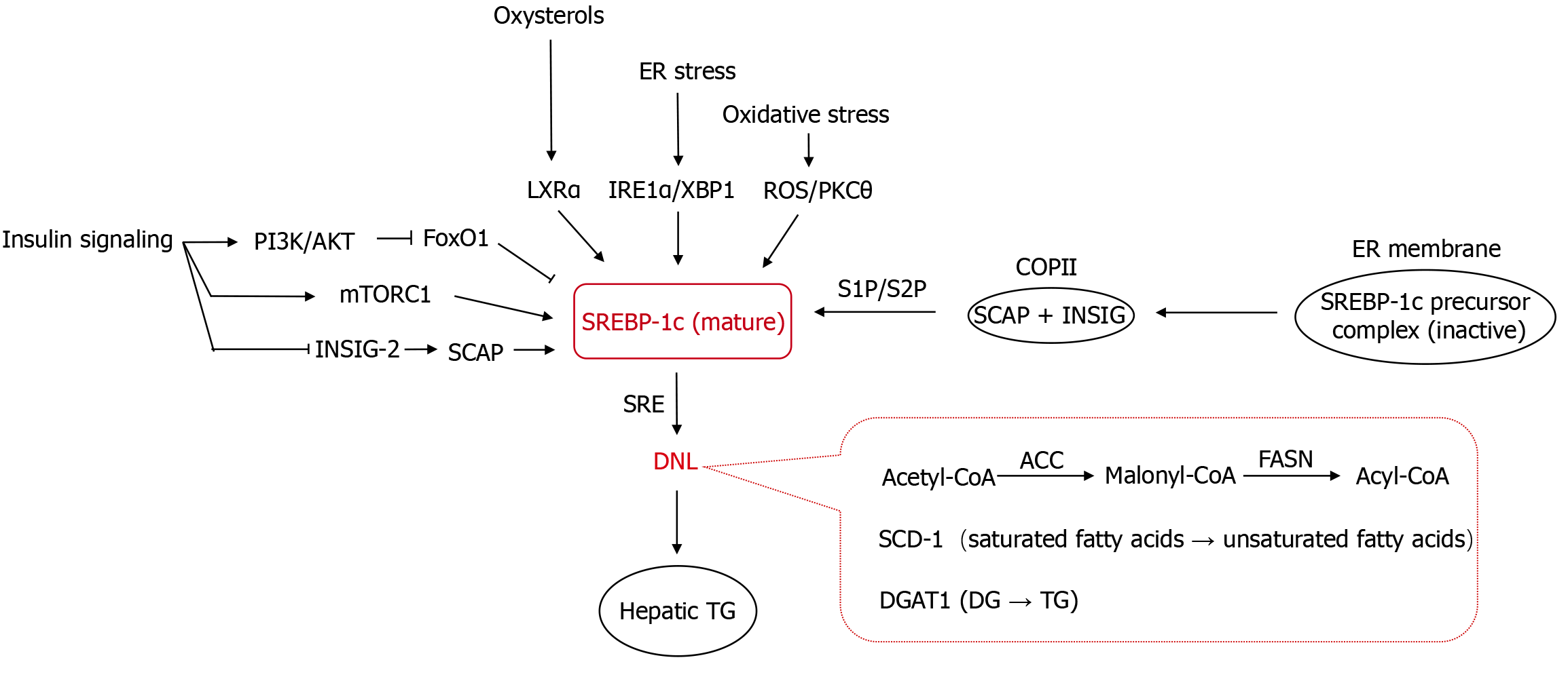 Figure 2 Figure 2