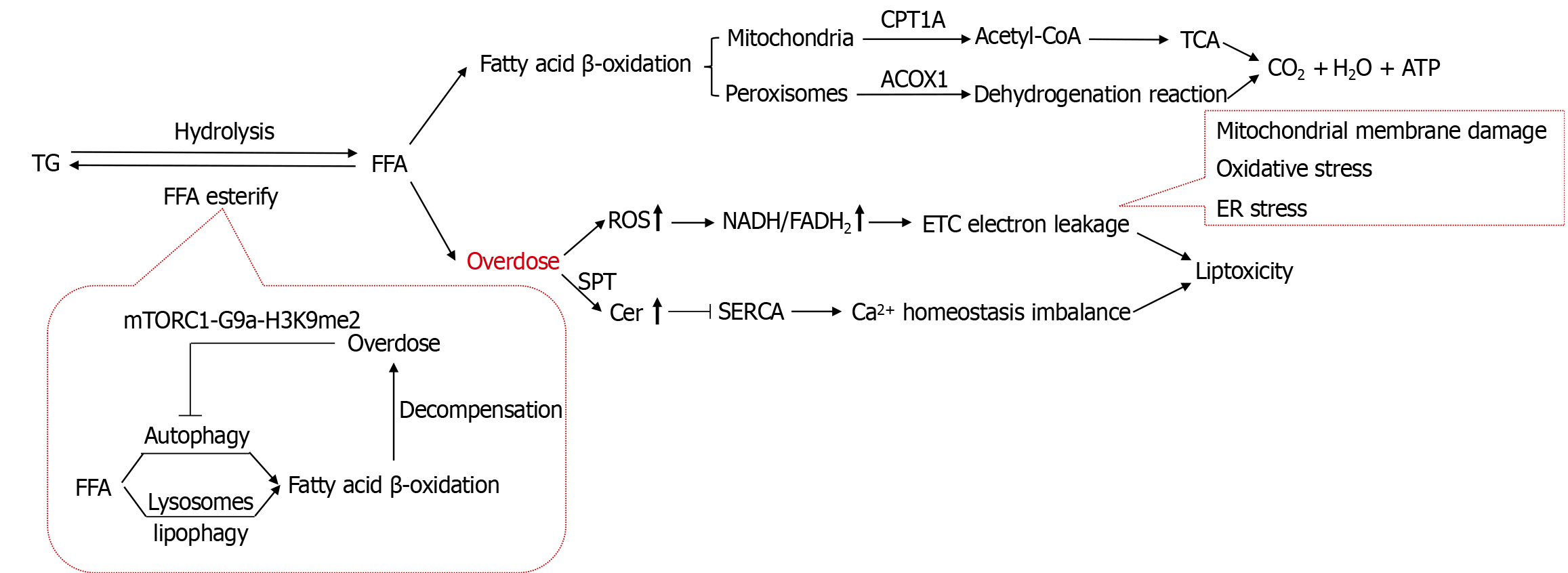 Figure 3 Figure 3