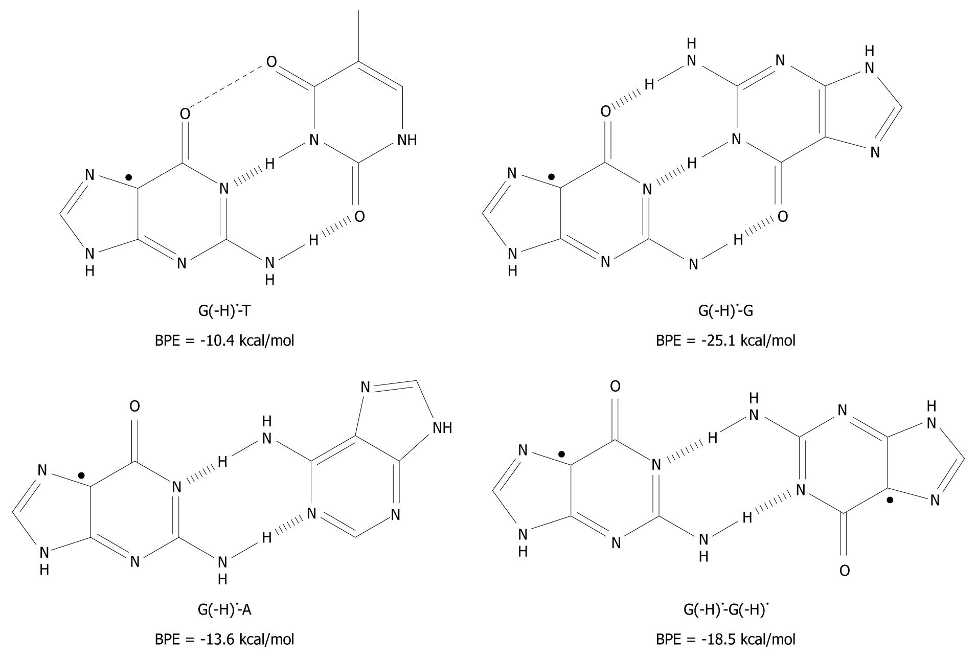 Molecular Mechanism Of Base Pairing Infidelity During Dna Duplication Upon One Electron Oxidation